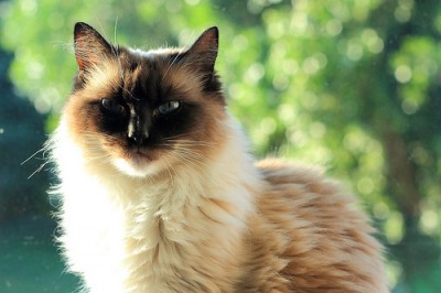 photo credit: peterned via photopin cc