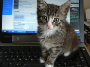 keyboard