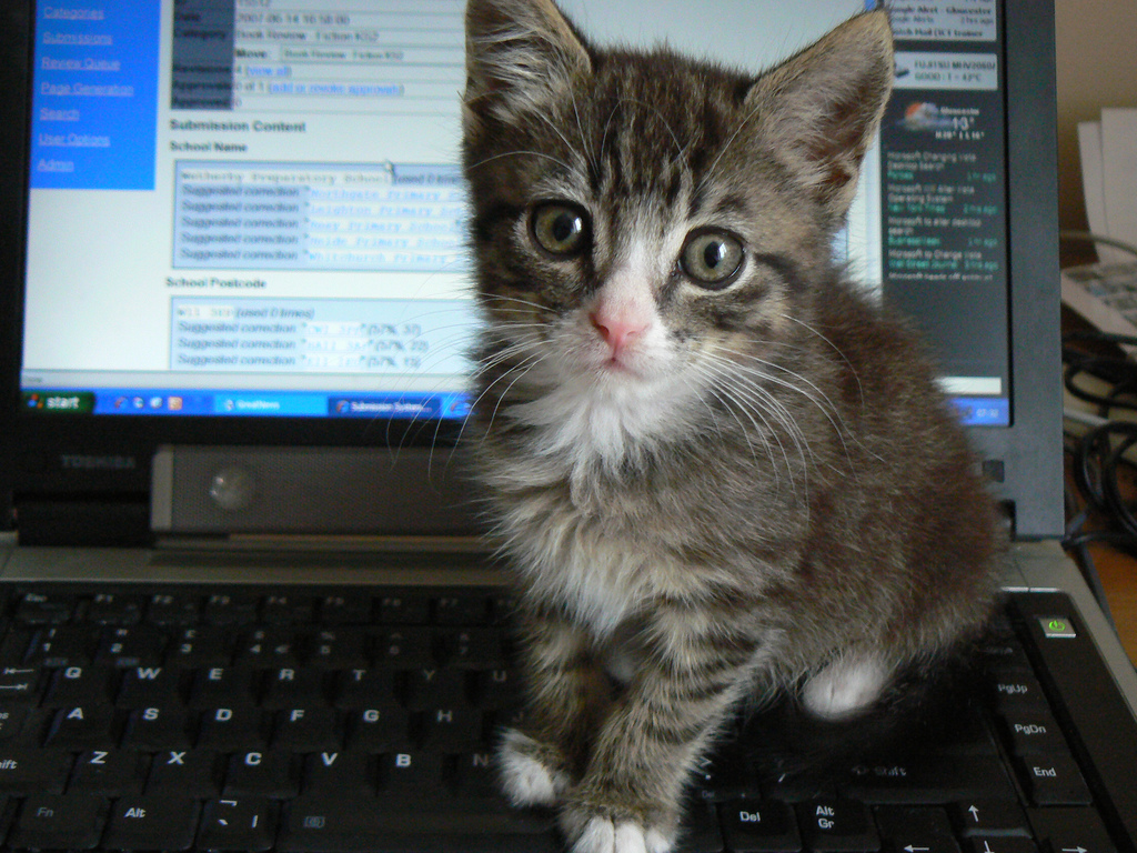 keyboard