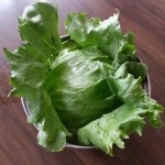 lettuce